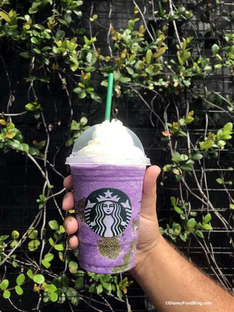 Witchy Delights: Indulging in Starbucks' Bfew Creations